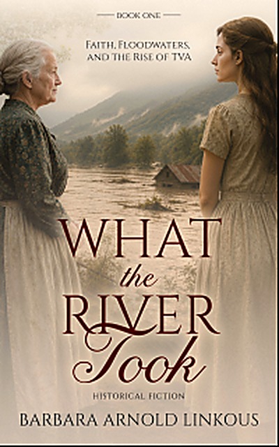 Cover of What the River Took by Barbara Arnold Linkous