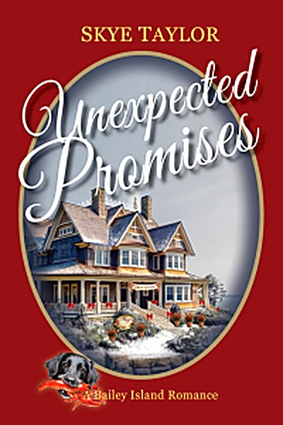 A book by Skye Taylor
